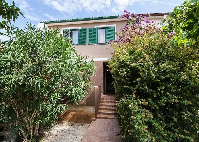 Marija 995 * 반졸레